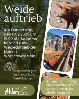 Wir laden zum nächsten Weideauftrieb am kommenden Donnerstag ein! Es ist wieder so weit und die Ferkel sind groß genug, dass sie auf die Weide können.🐷🌱Kommt gerne um 16 Uhr vorbei!🤗