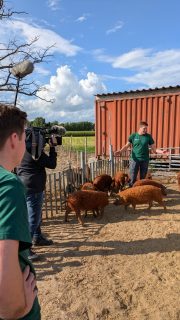 Gestern durften wieder Ferkel auf die Wollschweinweide.🐗 Besonders aufregend war natürlich, dass uns ein Drehteam von @ndrniedersachsen begleitet hat!🤩🎥
Am schönsten ist aber, dass ihr wieder so zahlreich erschienen seid.💚 Danke dafür! Das macht uns immer wieder eine große Freude!🤗

Und danke an die Sonne die pünktlich um 16 Uhr rauskam.😄☀️
