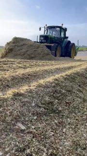 🌽Maisernte 2025🌽
Gestern haben wir zusammen mit @agrarservice_von_ohr_avo unseren Mais geerntet.🚜 Auch wenn es etwas nass war, sind wir sehr zufrieden mit der Ernte!🌦️🤗