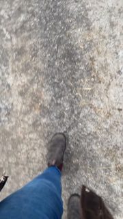 Da haben uns welche die Kaugummis gemopst!🐮
Aber sie scheinen zu schmecken😂🧡 #kälber #kaugummi #kaugummiblase #dörpen #regional