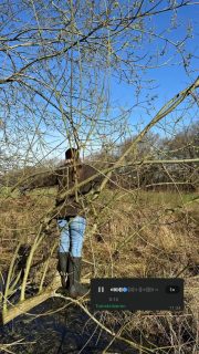 Unter Geschwistern darf man sich manchmal auf die Schippe nehmen. 😄
Marina ist vielleicht schon etwas länger Erdenbürger, aber beim Thema Social Media hochmotiviert.
Ist natürlich alles nur Spaß – Danke, dass du uns immer unterhältst!
Wir haben dich lieb.🤗💖 #millenial #bauernhof #geschwisterliebe #ärgern #oldie