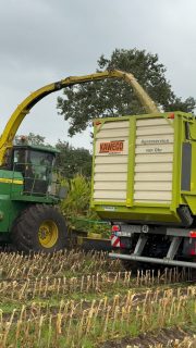 Maishäckseln🌽🚜😍 Zusammen mit @agrarservice_von_ohr_avo haben wir in der letzten Woche einen Großteil unserer Maisflächen geerntet. #maisernte #maishäckseln #dörpen #emsland #landwirtschaft