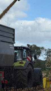 Für alle die noch im Maisfieber sind🌽🚜 
Wir sind zwar schon durch, aber die Ernte ist bei vielen noch in vollem Gange.
Nehmt Rücksicht auf den Straßen und Danke!🙌🏼 #maisfieber #emsland #häckseln #corn #treckerfahren